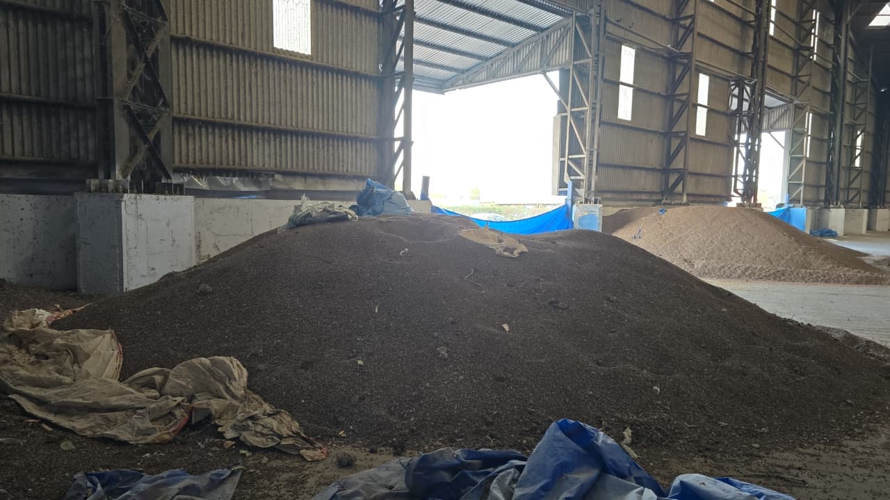 WhatsApp Image 2026-02-02 at 11.01.39