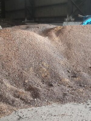 E-AUCTION NO – AGRI/S-400