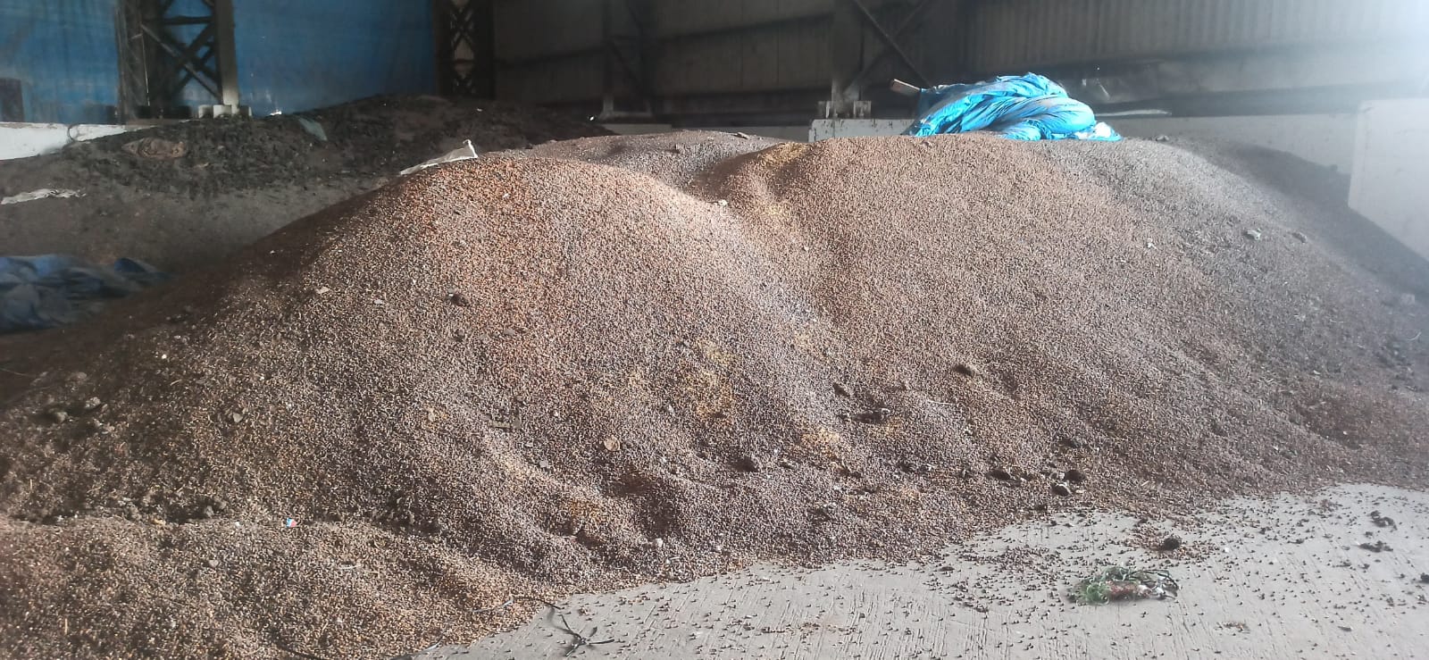 WhatsApp Image 2026-02-02 at 11.01.52